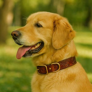 Hand-Tooled Leather Dog Collar – Premium Brass Buckle –  Western Collar