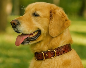 Hand-Tooled Leather Dog Collar – Western Style with Brass Buckle. Custom made.