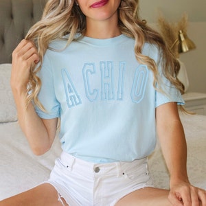 Alpha Chi Omega Sorority Colorful Chapter Shirt / Custom Color Greek Embroidered Comfort Colors T Shirt / Big Little Sister Gift