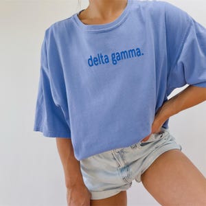 Delta Gamma Sorority Simple Embroidered Chapter Shirt / Custom Color Greek Letter Comfort Colors T Shirt / Big Little Sister Gift