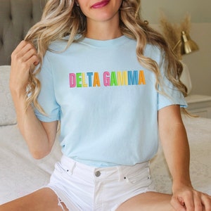 Delta Gamma Sorority Colorful Chapter Shirt / Custom Color Greek Embroidered Comfort Colors T Shirt / Big Little Sister Gift