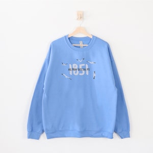 Alpha Delta Pi Sorority / Custom Color Greek Embroidered Gildan 18000 Sweatshirt / Big Little Sister Gift