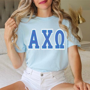 Alpha Chi Omega Sorority Applique Chapter Shirt / Custom Color Greek Embroidered Comfort Colors T Shirt / Big Little Sister Gift