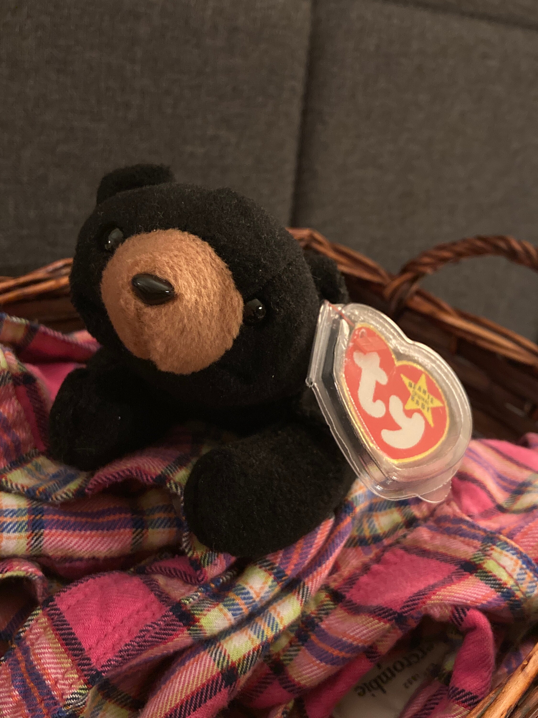 Beanie baby blackie the bear Clearance