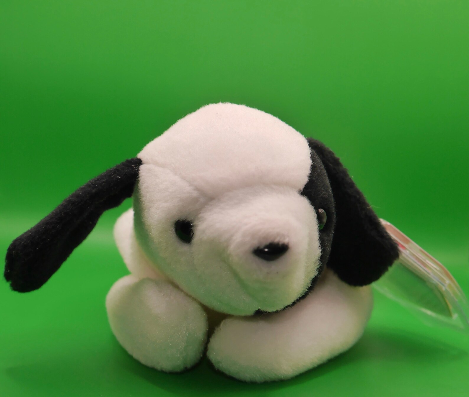 Ty Beanie Baby Spot the Dog Etsy