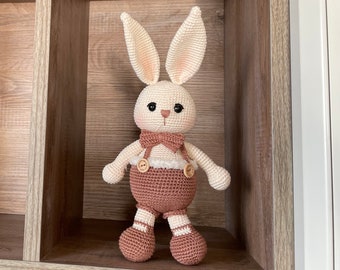 Crochet Bunny Rabbit | Personalized Doll | Personalized Baby Toys | Baby Shower Gift Basket | Birthday Gift Box For Him | Easter Bunny