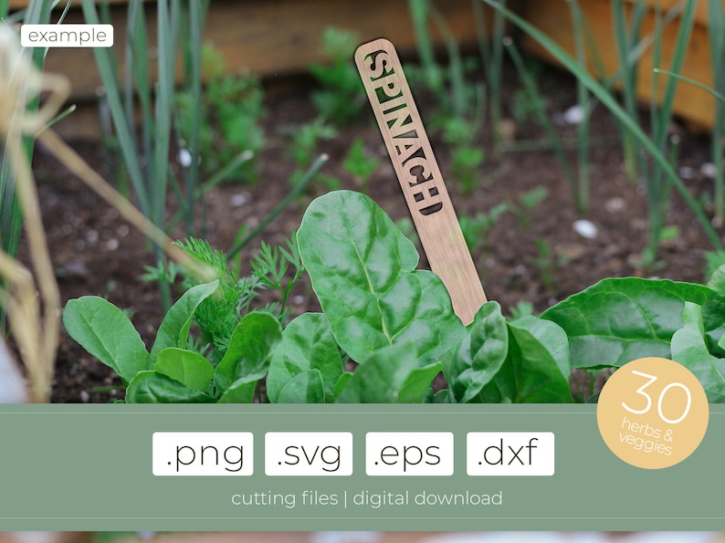 Cutting Files for Herb & Veggies Labels, Herb Planter Markers, Lasercut Files Garden Markers