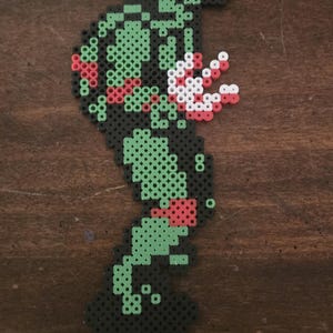 Hero Reptile Raph from The Arcade Game