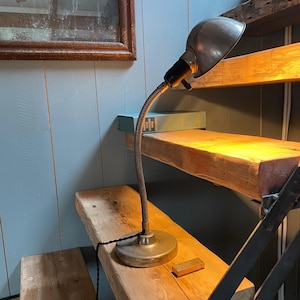 Lampada a collo d&#39;oca