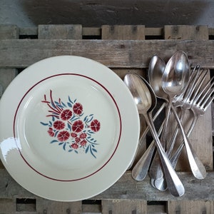 Placas DIGOIN