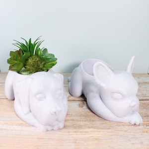 Puede incluir: Dos macetas blancas con forma de perro. Una contiene una planta suculenta verde. Las macetas tienen forma de Labrador y Bulldog Francés. Están hechas de un material texturizado y se apoyan sobre una superficie de madera.