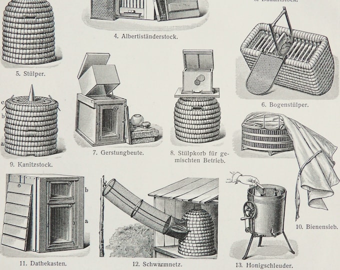 1897 Antique Print of BEEKEEPING. APICULTURE, Instruments and Tools ...