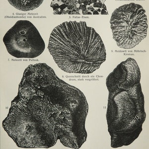 Könnte beinhalten: Detaillierte Illustration verschiedener Meteoriten, die unterschiedliche Texturen und Formen zeigen. Das Bild enthält beschriftete Exemplare wie Toluca-Eisen, Jewell Hill-Eisen und Pallas-Eisen und bietet einen Einblick in die Welt der Weltraumgesteine.