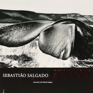 SEBASTIAO SALGADO: "GÉNESIS". Cartel original de la exposición. Fotografía. Ballena. Polo Sur. Antártida.