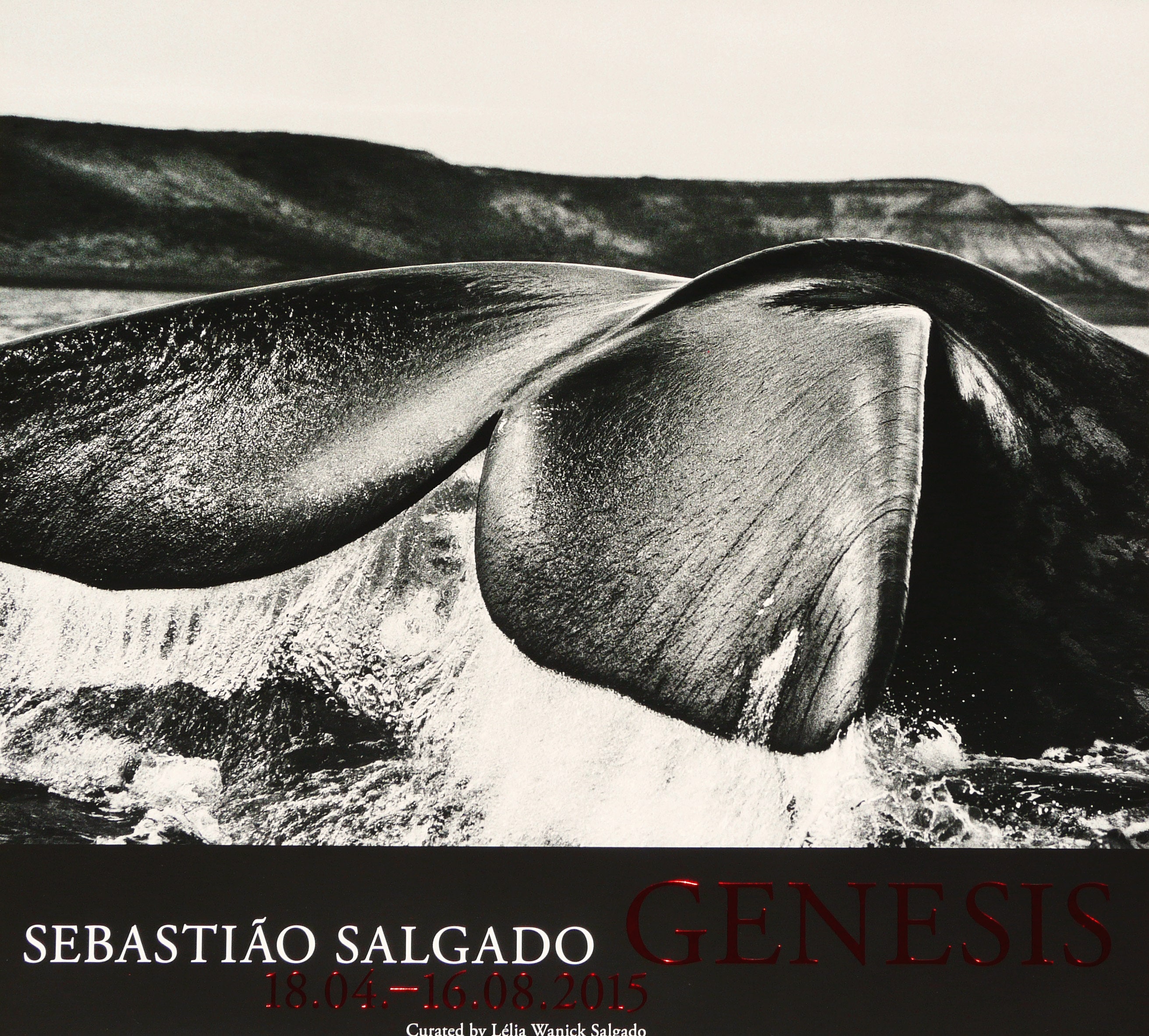 SEBASTIAO SALGADO: 