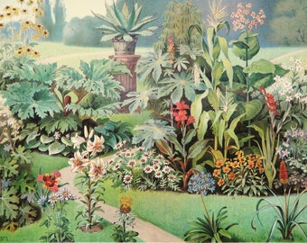 印象派　【Flower Garden】lithograph 1897 Antique Lithograph of FLOWERS, Different Species. Houseplants