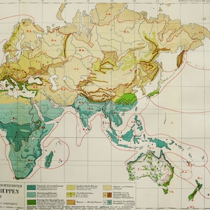 1897 Antike WELTKARTE der VEGETATION und Pflanzen. Botanik. Klima. Geographie. 127 Jahre alte Karte
