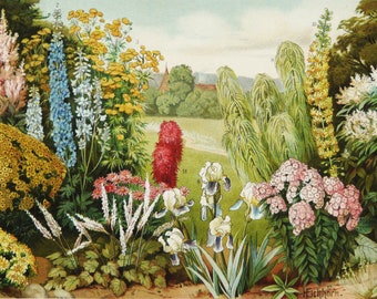 印象派　【Flower Garden】lithograph 1897 Antique Lithograph of FLOWERS, Different Species. Houseplants