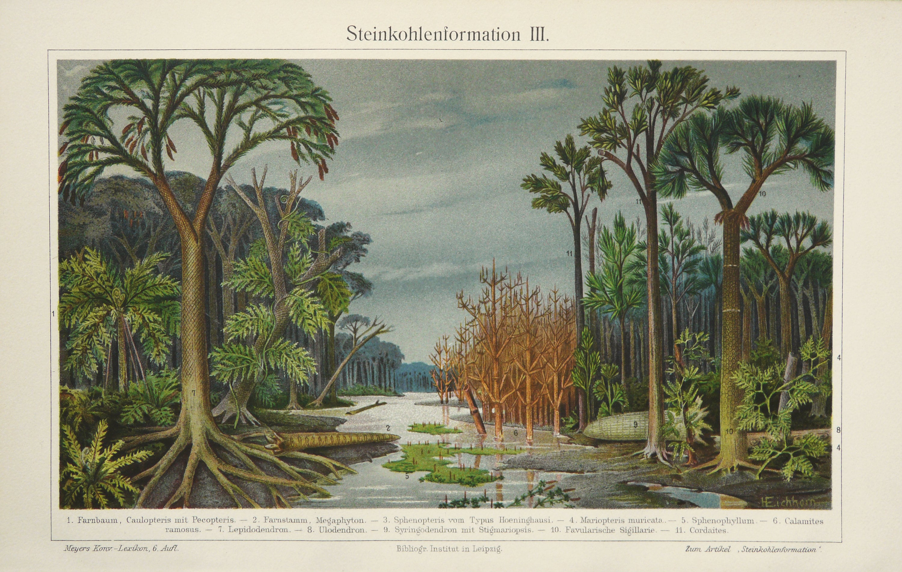 1897 Antique Lithograph of PALEOBOTANY Giant Ferns Jurassic Era