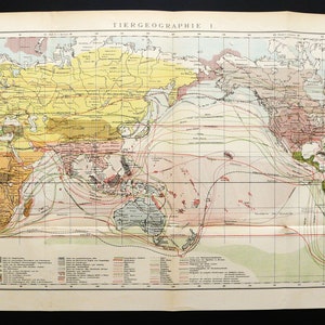 1895 Antike große WELTKARTE der ZOOLOGIE. Tiergeographie. Zoologische Weltkarte. Tierwelt. Tiere. 129 Jahre alte Lehrtafel