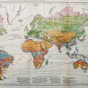1895 Antike große WELTKARTE der VEGETATION und Pflanzen. Botanik. Klima. Geographie. 129 Jahre alte Lehrtafel
