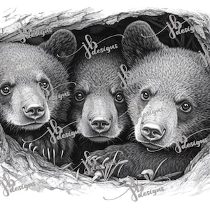 3D Three Bears Laser Engrave File | Wildlife Scene (Lightburn File)