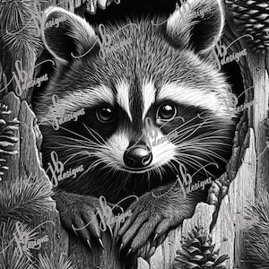 May include: A black and white illustration of a raccoon peering out of a hole in a tree trunk. The raccoon has a curious expression on its face and its paws are resting on the edge of the hole.