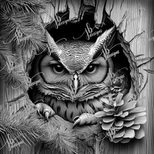 May include: A black and white drawing of an owl peering out of a hole in a tree trunk. The owl's eyes are wide open and its talons are visible. A pine cone is in the foreground.