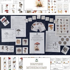 Unité d'activités sur les champignons, unité d'étude Montessori, feuilles de travail à domicile sur les champignons et les champignons vénéneux britanniques, cartes-éclair, unité d'étude sur la nature.