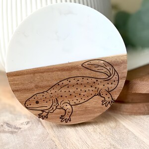 May include: A round coaster with a white and wood grain design. A detailed illustration of a salamander is etched into the wood grain portion. The coaster is a decorative item for the home.