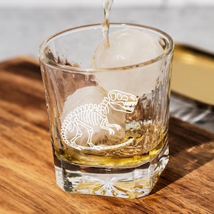 Dinosaur Fossil Whiskey Glass: Paleontology Rocks Glass