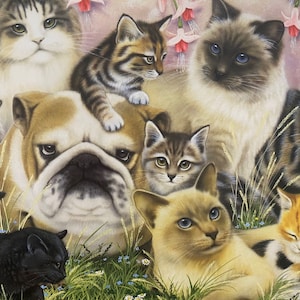 6/pk HTF Howard Robinson &quot;Twelve Cats & a Dog&quot; Leanin&#39; Tree Vintage Greeting Cards Encouragement NOS + Bonus Cards