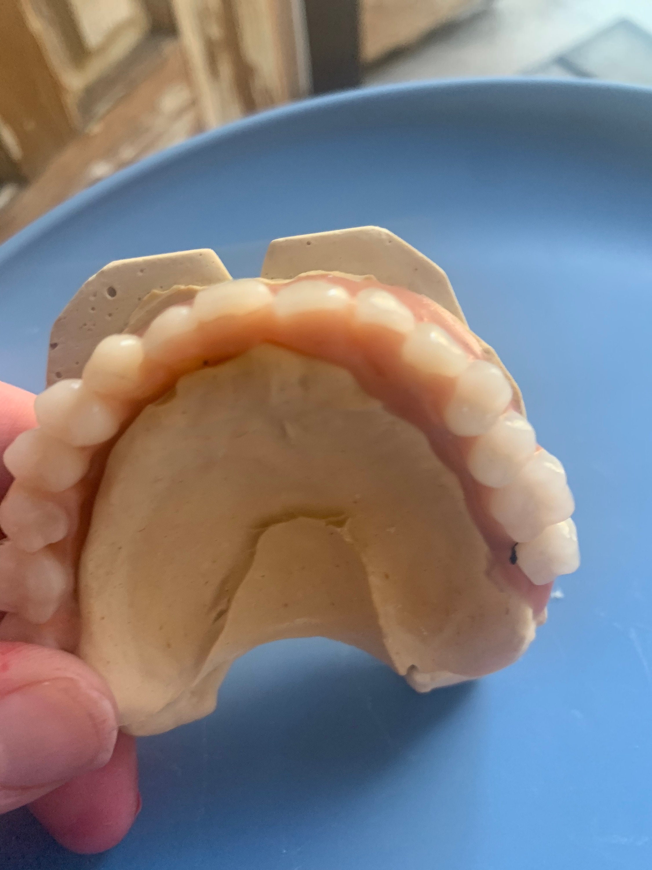 Resin Teeth 23/A2 Full Set 28pc Bundle/Kit for DIY Dentures Etsy