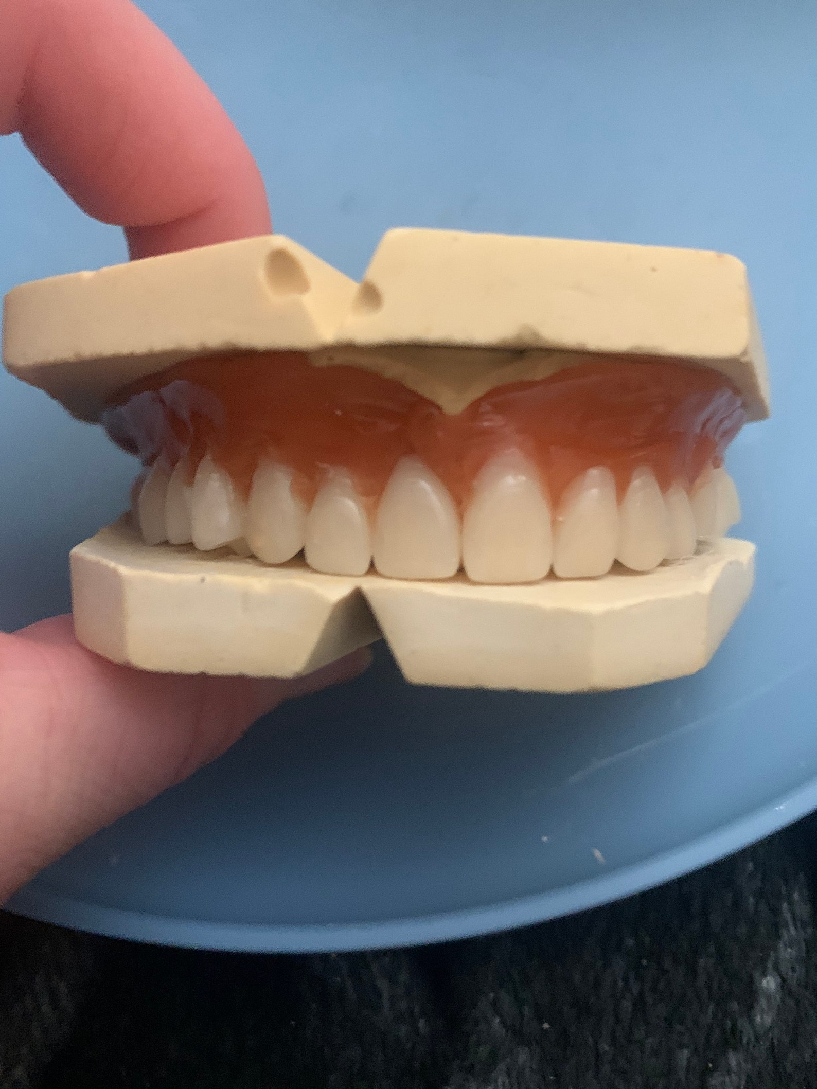 Resin Teeth 23/A2 Full Set 28pc Bundle/Kit for DIY Dentures Etsy