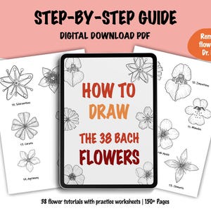 Cómo dibujar las 38 Flores de Bach, Lecciones paso a paso, Guía de dibujo, Hoja de trabajo imprimible, Descarga instantánea, Flores curativas