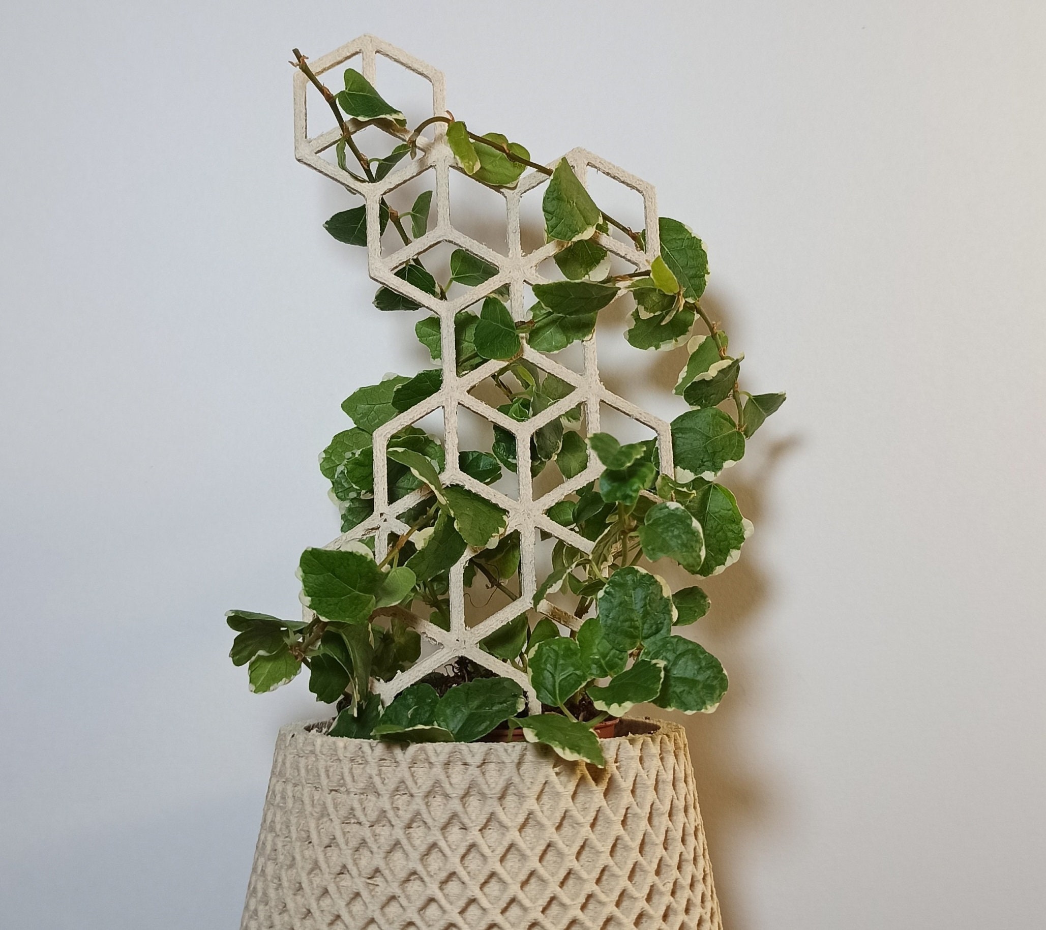 Plant Trellis Indoor Garden Trellis flower trellis Etsy