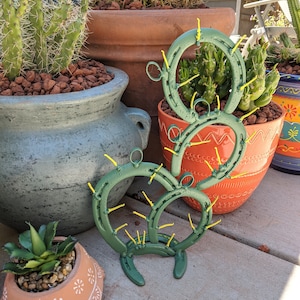 Horseshoe Cactus image 2