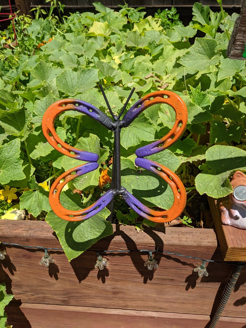 Horseshoe Butterfly Etsy