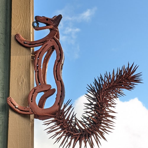 Horseshoe Cactus Etsy