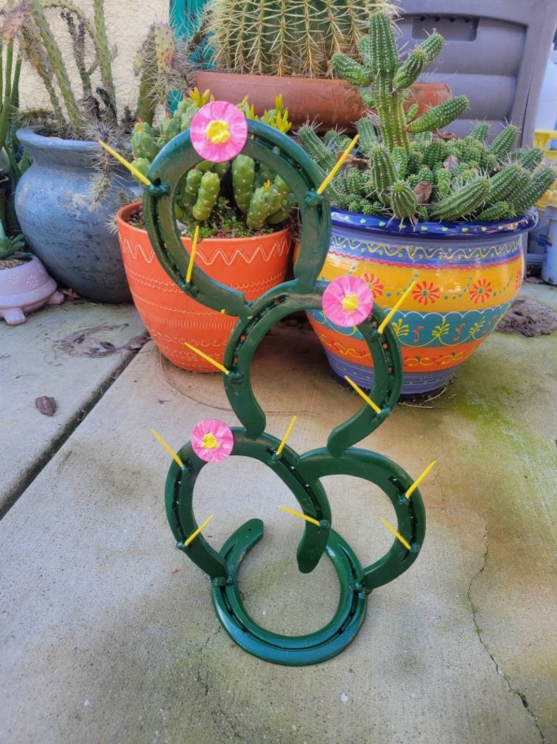 Horseshoe Cactus image 3