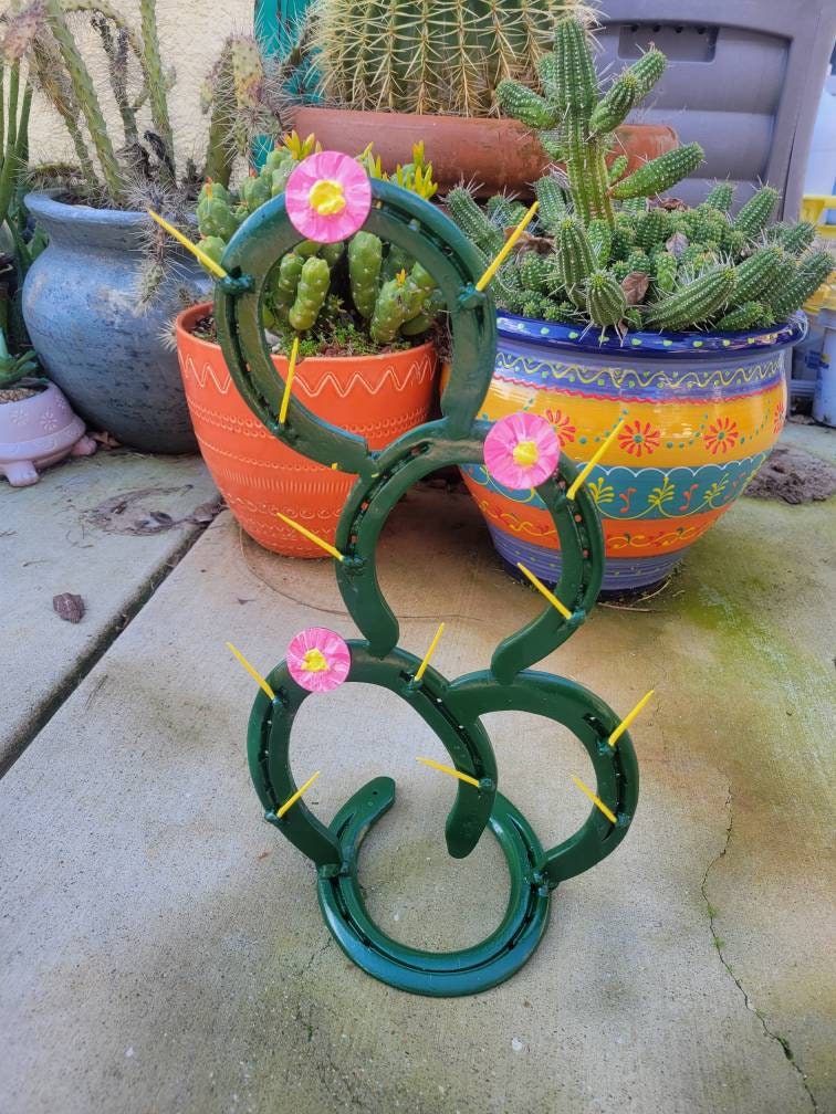 Horseshoe Cactus Etsy