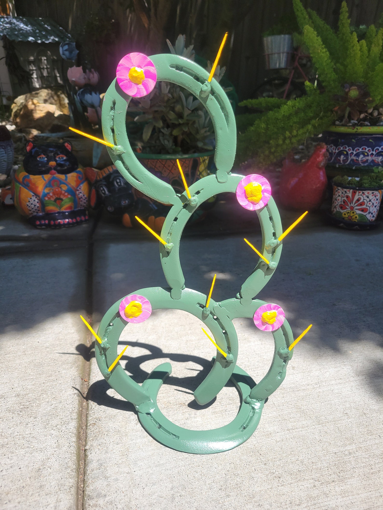 Horseshoe Cactus Etsy