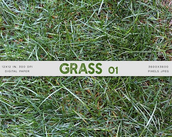 Grass 01 Nature Long grass Photograph Texture Digital Paper for Text, Objects, Backgrounds  - Instant Download Digital Clip art