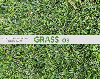 Grass 03 Nature Cut grass Photograph Texture Digital Paper for Text, Objects, Backgrounds  - Instant Download Digital Clip art