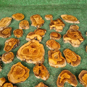 Live Edge Olive Pieces For Resinart Work, Olive Wood Slabs For Epoxy, Raw Edge Wood For DIY Wood, Olive Wood For Moss Wall Art