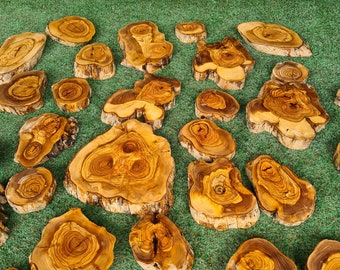 May include: A collection of various-sized, natural wood slices with visible grain patterns and bark edges. The slices are in shades of brown and tan, arranged on a green surface, showcasing their organic shapes and textures.