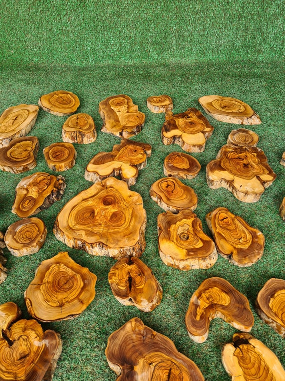 Live Edge Olive Pieces For Resinart Work, Olive Wood Slabs For Epoxy, Raw Edge Wood For DIY Wood, Olive Wood For Moss Wall Art