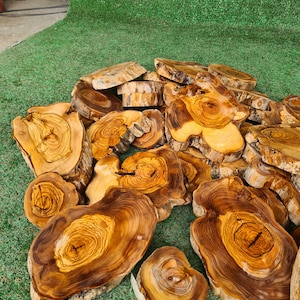 Pu&ograve; includere: Una collezione di fette di legno di forma irregolare, con venature visibili. Il legno presenta una miscela di tonalit&agrave; marroni chiare e scure, con alcune fette che mostrano una tonalit&agrave; giallastra pi&ugrave; chiara al centro. Le fette sono disposte su una superficie verde.
