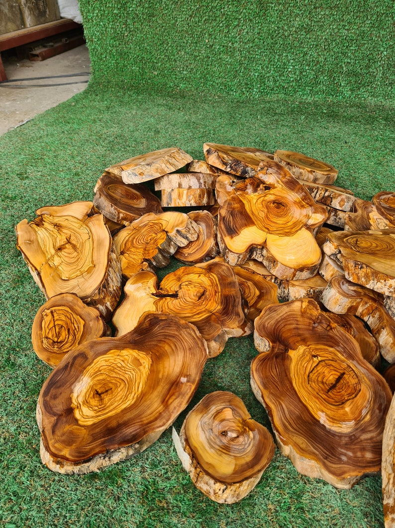 Pu&ograve; includere: Una collezione di fette di legno di forma irregolare, con venature visibili. Il legno presenta una miscela di tonalit&agrave; marroni chiare e scure, con alcune fette che mostrano una tonalit&agrave; giallastra pi&ugrave; chiara al centro. Le fette sono disposte su una superficie verde.