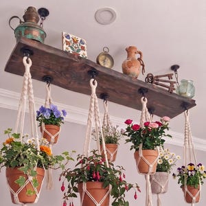 May include: A dark wood ceiling shelf suspended by black hardware, featuring several macrame plant hangers holding terracotta pots with various flowers, including fuchsia, pansies, and roses, alongside decorative items like a compass and jug.